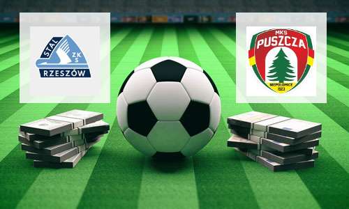 Stal Rzeszów vs Puszcza Niepołomice