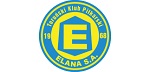 Elana Torun