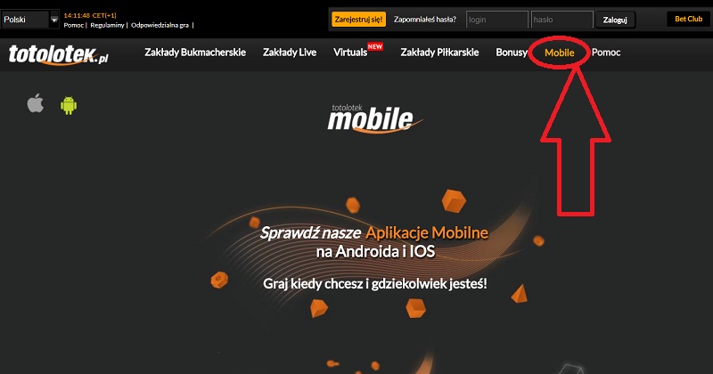 Totolotek.pl - mobile