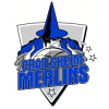 Crailsheim Merlins