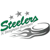 Bietigheim Steelers