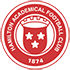 Hamilton Academical